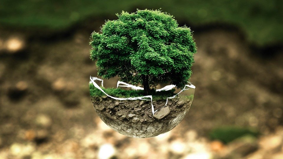 dispositif respectueux de l’environnement