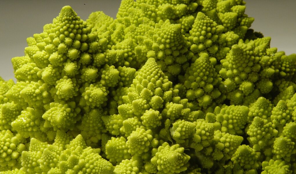 Comment cusiner le chou romanesco